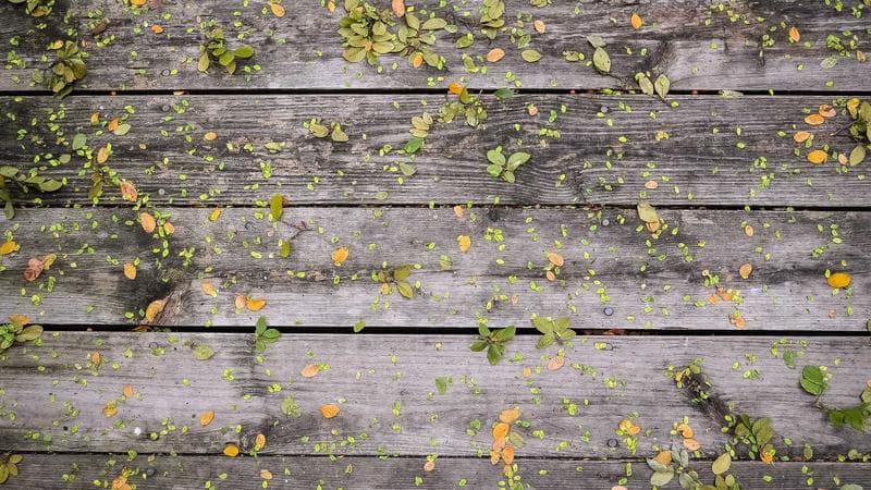 Getting Started with AI Foundations: A Practical Guide for Enterprises